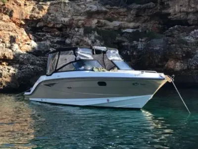 Sea Ray 250 Sun Sport