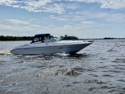 Sea Ray 260