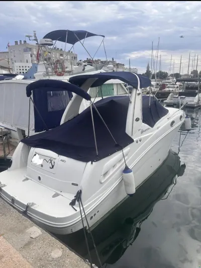 Sea Ray 260