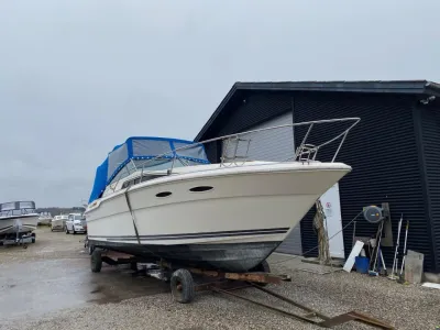 Sea Ray 300 Sundancer
