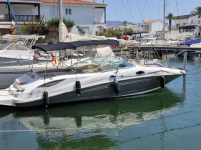 Sea Ray 300 Sundeck