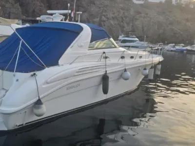 Sea Ray 450 Sundancer