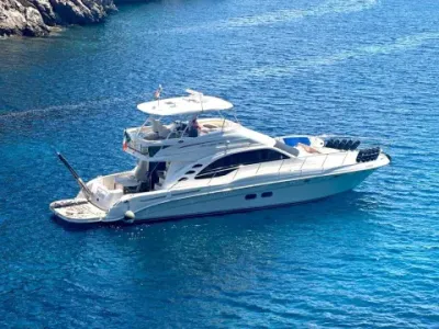 Sea Ray 58 Sedan Bridge