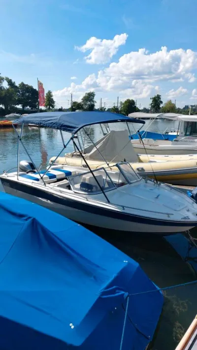 Sea Ray SRV - Honda BF60 inkl. Trailer & Bodensee