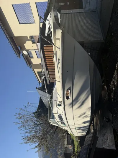 Sea Ray Srw 260