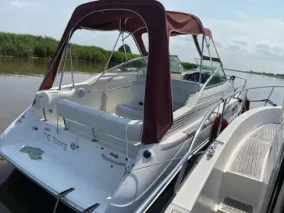 Sea Ray SUNDANCER 230/