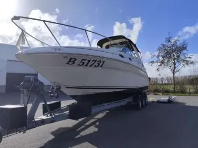 Sea Ray Sundancer 275