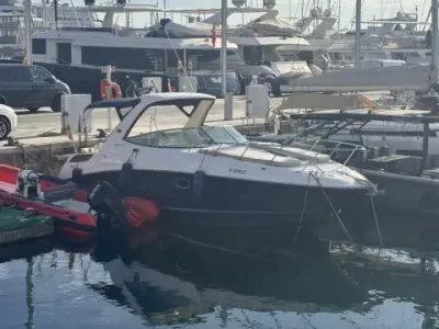 Sea Ray Sundancer 310