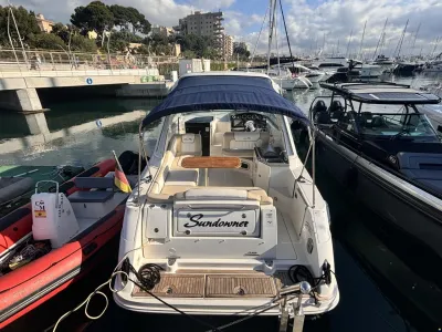 Sea Ray Sundancer 310