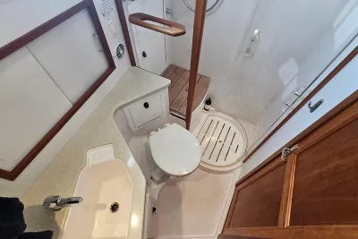 Sea Ray Sundancer 320 2020