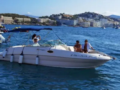 Sea Ray Sundeck 240