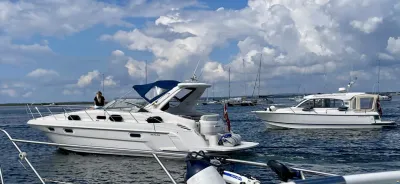 Sealine S37