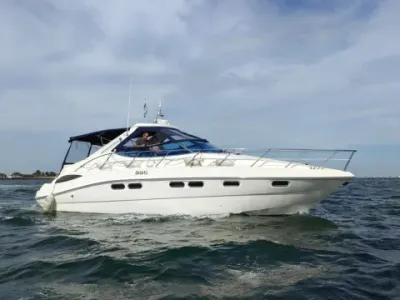 Sealine S41