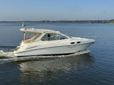 Sealine SC29
