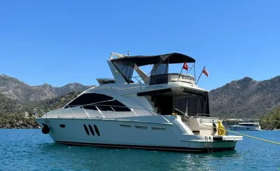Sealine T50