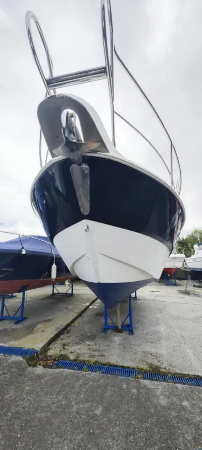 Sessa Marine C30