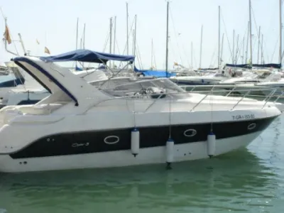 Sessa Oyster 30