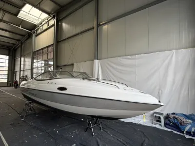 Stingray 200 CS