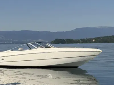 Stingray 200 LX