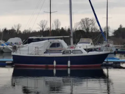 Tortuga 27