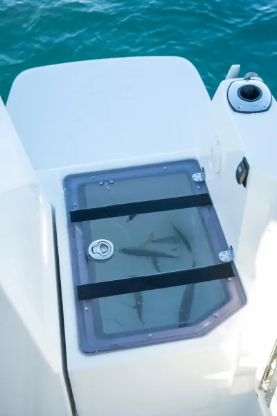 Vandal Marine 46 Explorer 2023