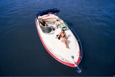 Viper V 243