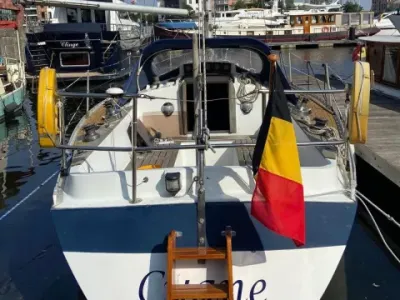 Wauquiez Gladiator 33