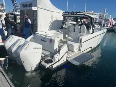 Wellcraft 38 T-Top