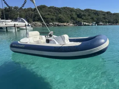 Williams 285