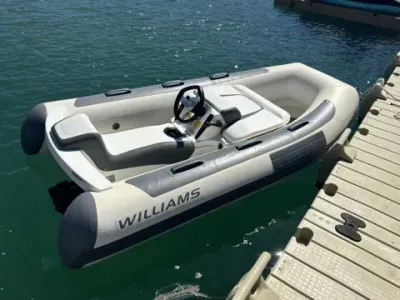 Williams Minijet 280