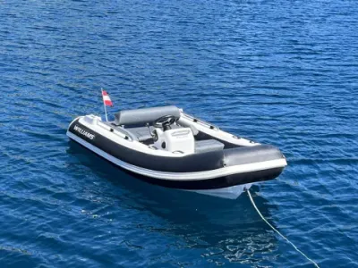 Williams Sportjet 345