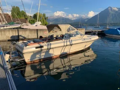 Windy 23 FC