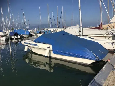 Windy 7800