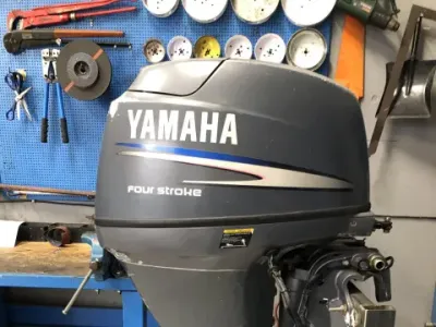 Yamaha F30AETL